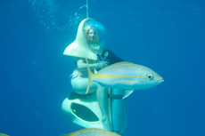 St. Thomas Underwater Scooter cruise excursion